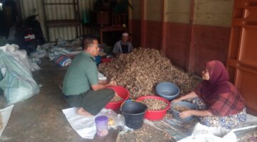 Anggota Koramil 02/Rikit Gaib Lakukan Pendampingan Kepada Petani di desa Binaan