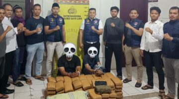 Dalam sepekan Satresnarkoba Polres Gayo Lues berhasil Gagalkan Ratusan Kilogram Ganja Lintas Provinsi