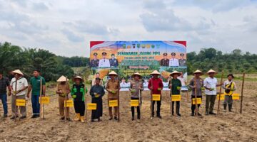 Ladang 10 Hektare di Lubuk Batu Jaya Jadi Simbol Kebersamaan Menuju Swasembada Pangan