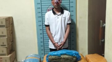 Sat Narkoba Polres Agara Amankan 11 Paket Ganja Seberat 17,8 Kilogram di Kecamatan Ketambe