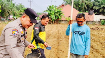 5 Kg Bibit Jagung Ditanam Polri Petani Lubuk Sakai