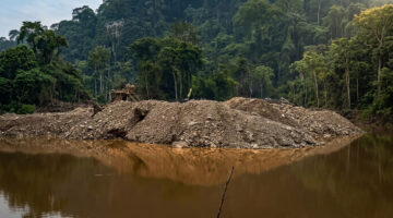 105 Hektare TNKS Sudah Hilang, Jika PETI di Kerinci Dibiarkan Maka Bencana Ekologis Tinggal Menunggu Waktu